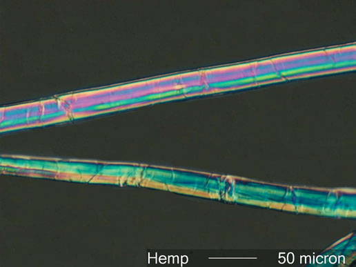 Laboratory Nylon Fibers Consist 4